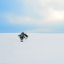 cosmicanomaly avatar