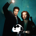 cosmicinflationkink avatar