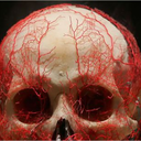 cosmicism-blog avatar