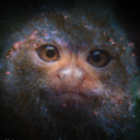 cosmicmarmoset avatar