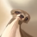 cosmicnerevar avatar