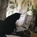 cosmicpigeonman avatar