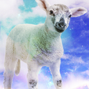 cosmicsheepie avatar