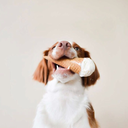 cosmicsthetics avatar