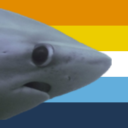 cosmo-not-okay avatar