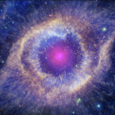 cosmos-of-cows avatar