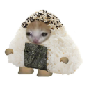 cosmospicegender avatar