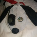 cosmowill-blog avatar