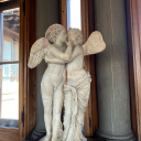 costanzasardelli avatar