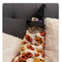 cosyautumnspace avatar