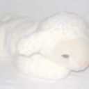 cosycastellan avatar