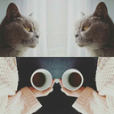 cosychristian avatar