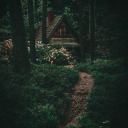 cottage--inthe--woods avatar