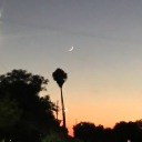 cottagecorelvr avatar