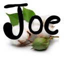 cotton-eye-joes avatar