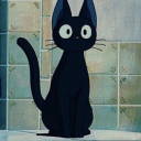 cotton-flower-s avatar