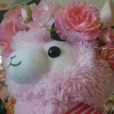 cottonalpaca avatar
