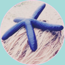 cottoncandy0506 avatar