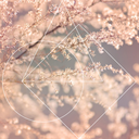 cottoncandyandethereality avatar