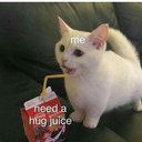 cottoncandycacophony avatar