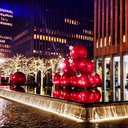 cottonheadedninny-muggins avatar