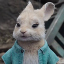 cottonstails-blog avatar