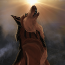 couchwolf-blog1 avatar