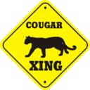 cougarlove avatar
