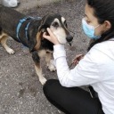 couldiflyawayplease avatar