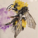 count-virtuoso avatar