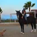 countercanterr avatar