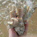 counterclockwiseheart-blog avatar