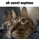 countessdaydreams avatar