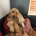 countingproblems avatar