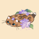 countingsunflowerpetals avatar