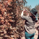 country--wide avatar