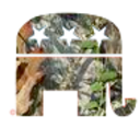 country-conservative-blog avatar