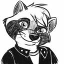country-raccoon-blog avatar