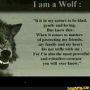 countryboy0209 avatar