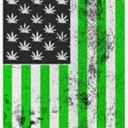 countryboy2213 avatar