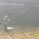 countryboycansurvive72 avatar