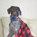 countrycamping1980 avatar