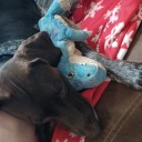 countrycouple33 avatar