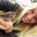 countryforthes0ul avatar