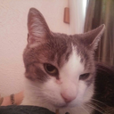 countrygal17a avatar