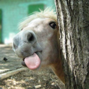 countrygirl120983 avatar