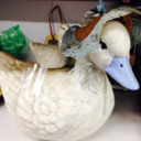 countrygoosecult avatar