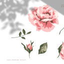 countryhouseyearning avatar