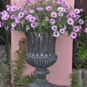 countryroots56-blog avatar