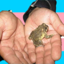 countrytoads avatar